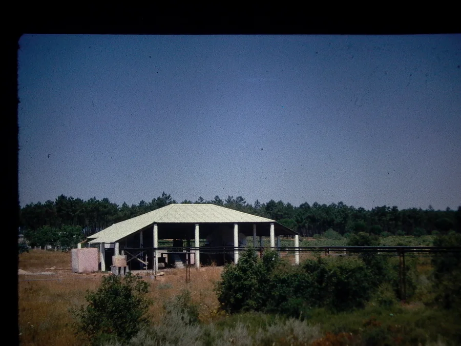 1968 · Sdur Extra