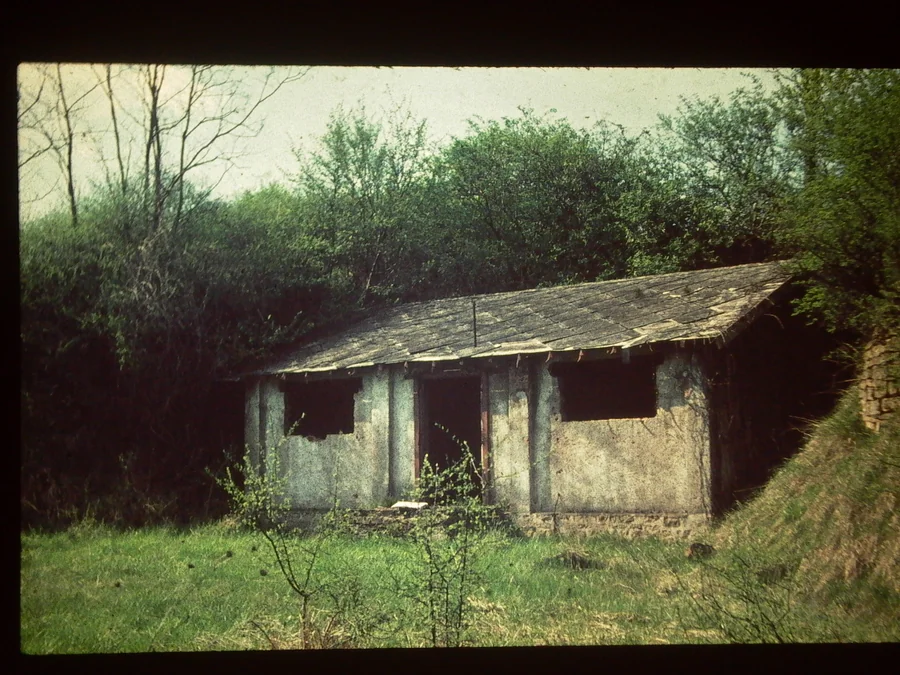 1959 · Brig, Switzerland · Bâtiments de fabrique abandonnée, SSE Brig